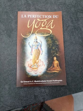 La perfection du yoga