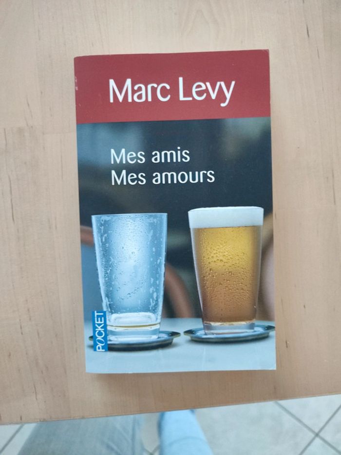 Marc Levy "mes amis mes amours"