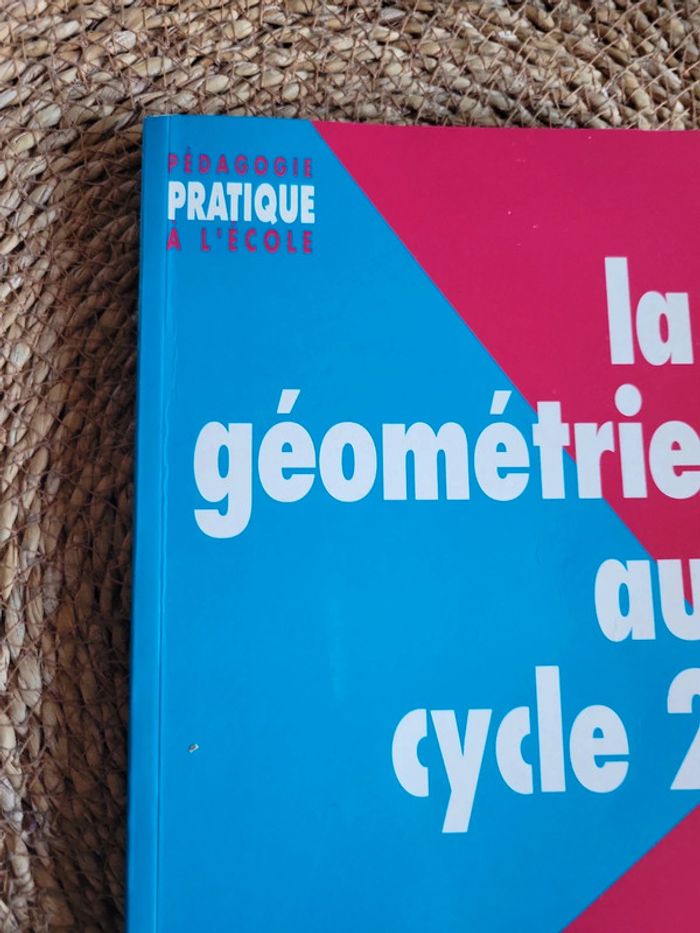 Pédagogie pratique de l école. Enseigner - photo numéro 2