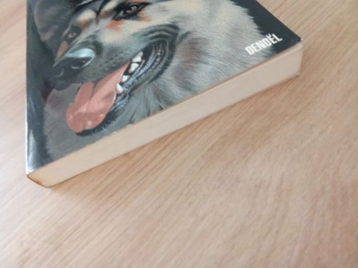 Boileau-Narcejac 🍀 Le contrat - photo numéro 4