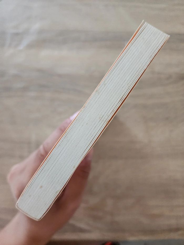 Livre broché "l'écuyer mirobolant" de Jérôme Garcin - photo numéro 4