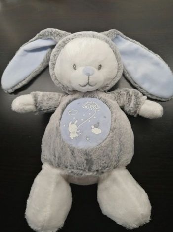 Mots d'enfants Peluche doudou lapin déguisé bleu