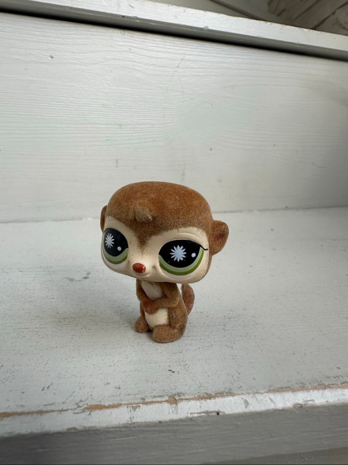 Petshop suricate - photo numéro 5
