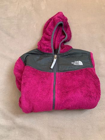 Polaire the north face