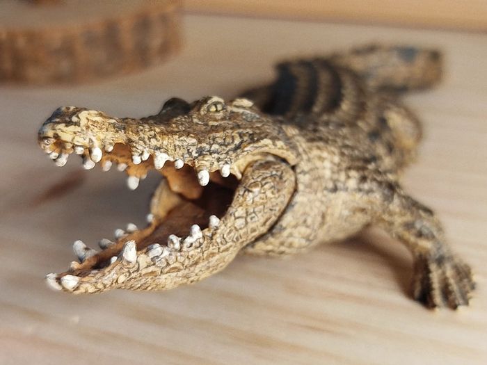 Schleich crocodile Alligator Figurine animal de la savane - photo numéro 2