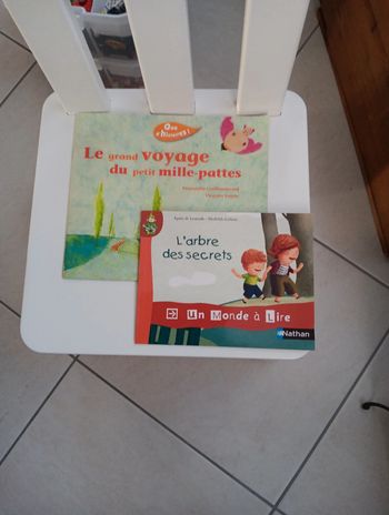 Lot de 2 livres pour jeunes lecteurs