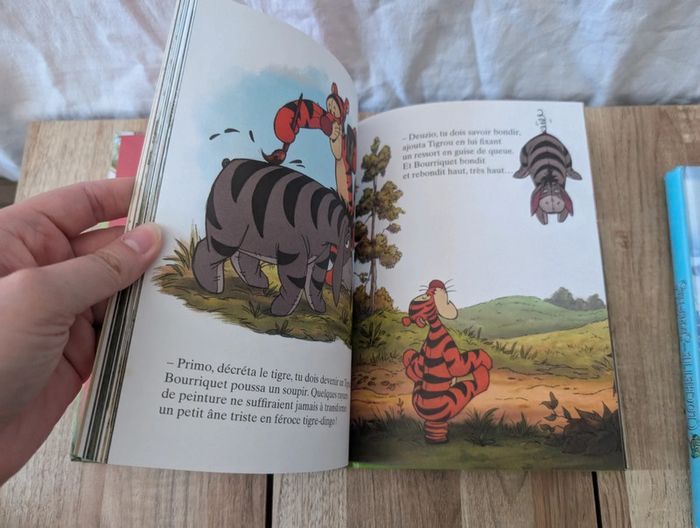 Lot livres Disney - Édition France Loisirs - photo numéro 8