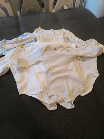 Lot 7 bodies