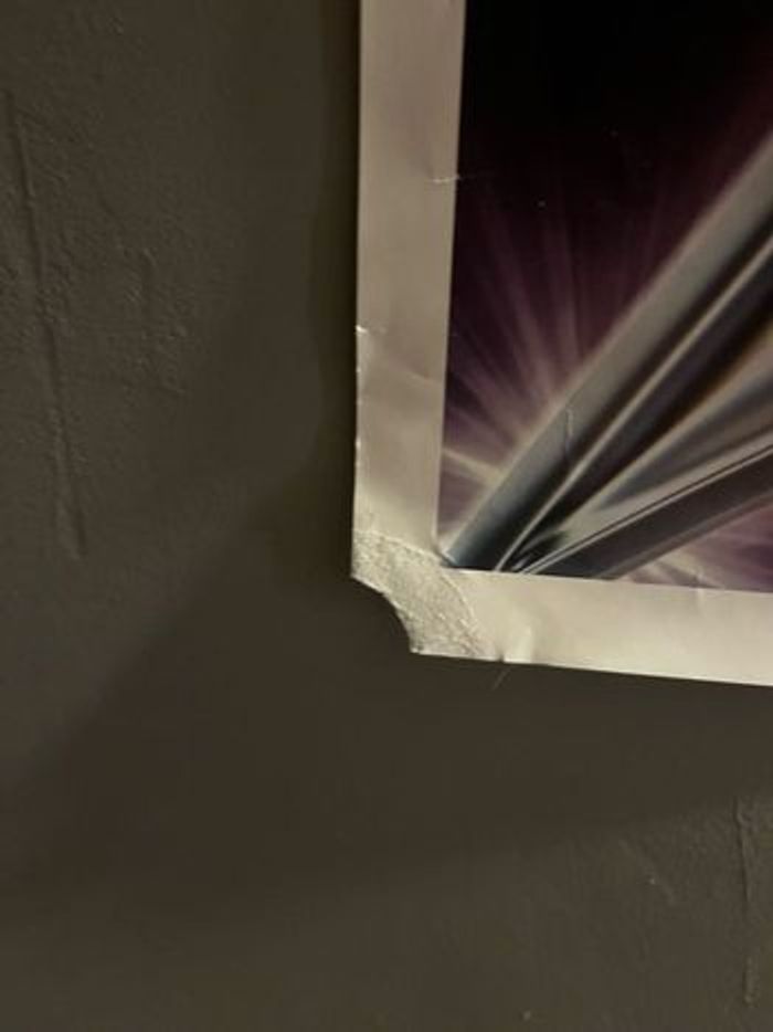 🎤 Poster Star Academy Tour 2024 – Grand format – Signé par tous les académiciens ⭐ - photo numéro 4