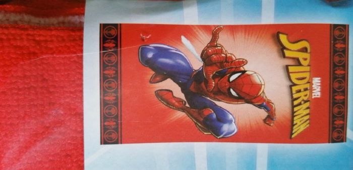 Lot 2 serviettes de plage