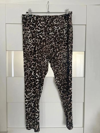 Legging