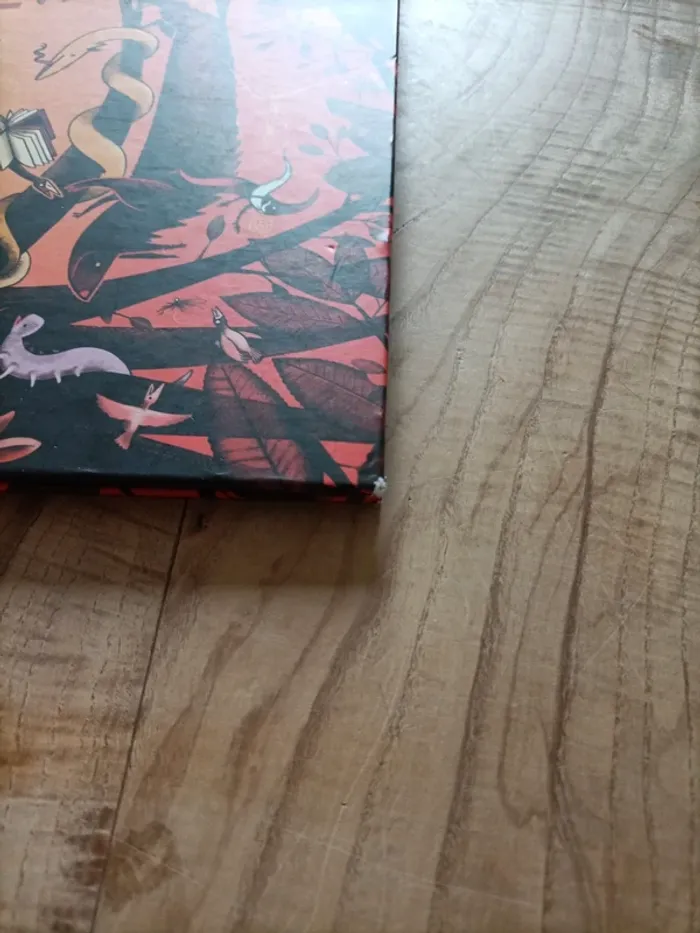 Livre jeu Flinn - photo numéro 5