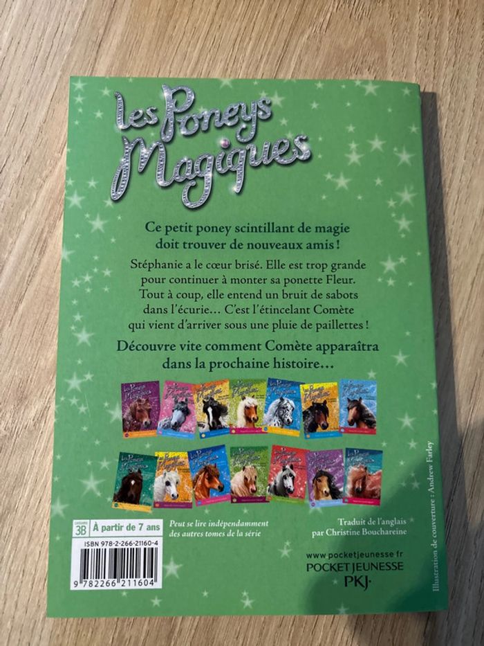 Les Poneys magiques - photo numéro 2