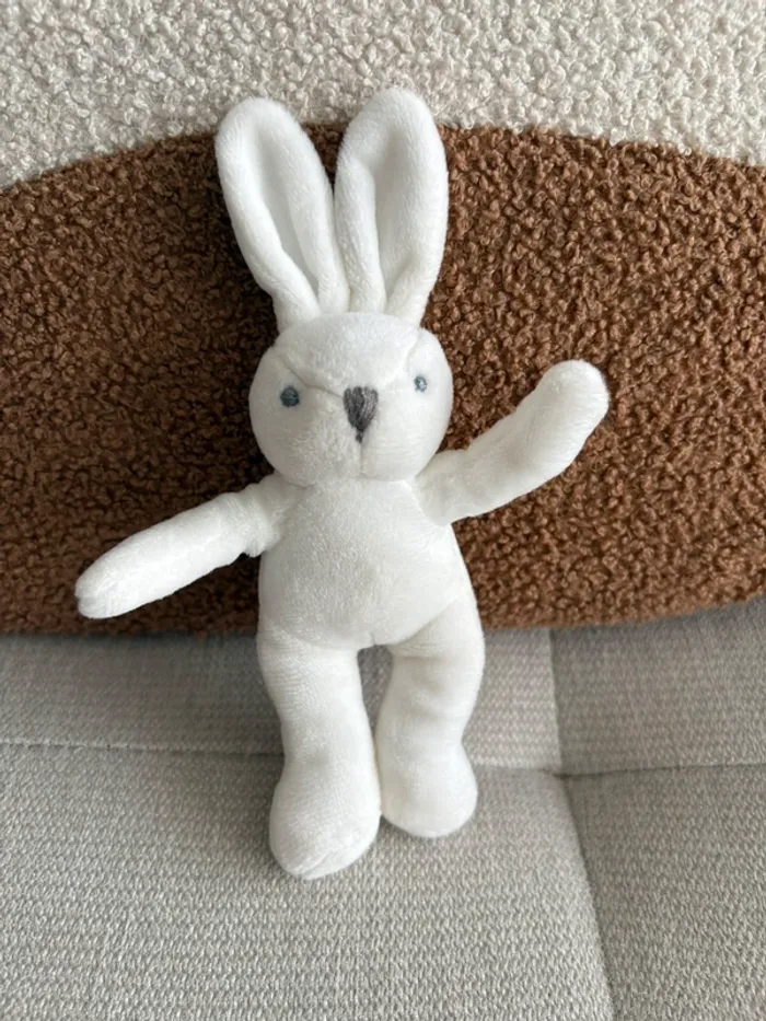 Lapin jacadi