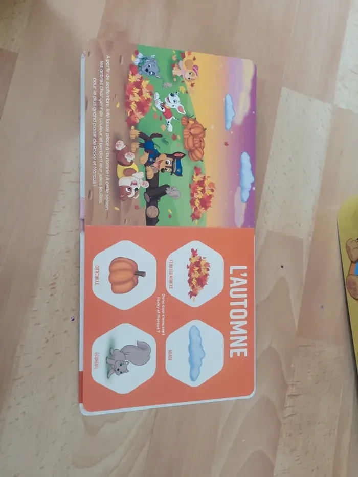 Livre les saisons pat patrouille - photo numéro 5