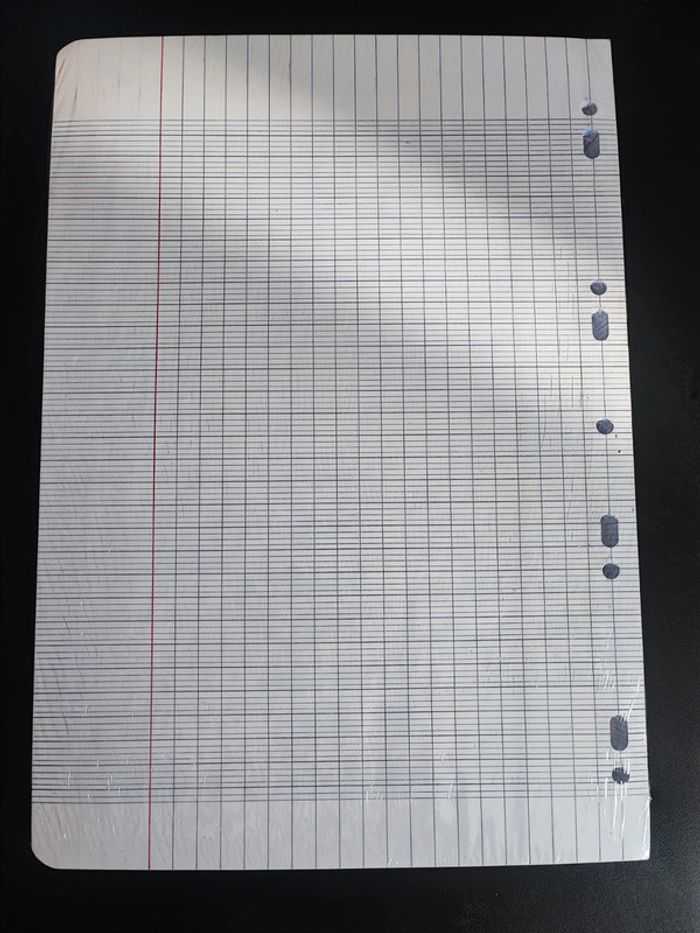 Paquet de 200 feuilles simples - photo numéro 2