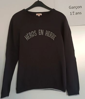 Pull Héros en herbe DPAM 12 ans