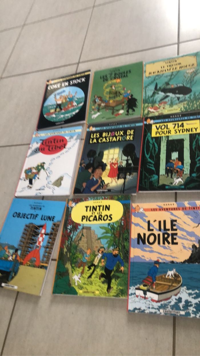 Collection livres TIntin - photo numéro 4