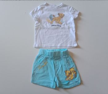 Ensemble roi lion