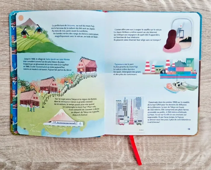 Livre "Le mont Fuji : volcan sacré du Japon" neuf - photo numéro 2
