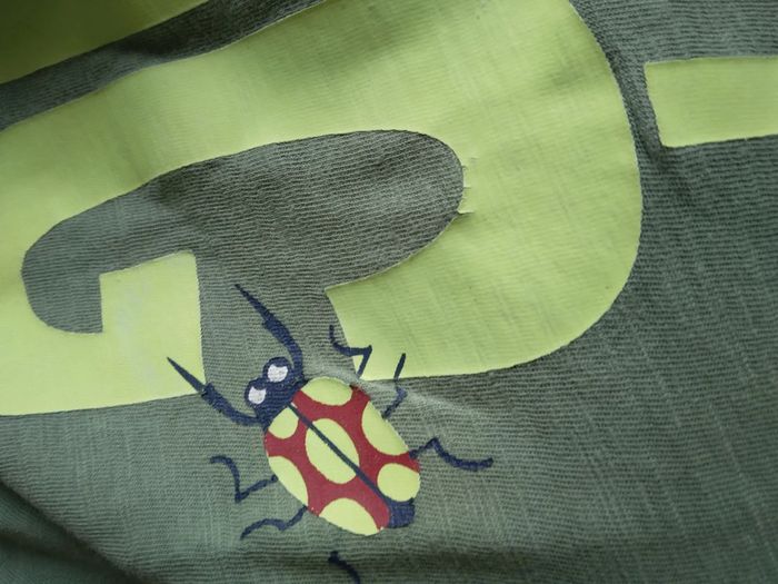 🌸Tee-shirt avec imprimé insecte 6ans a 1€🌸 - photo numéro 8