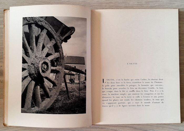 Luc Dietrich - Terre - photo numéro 9