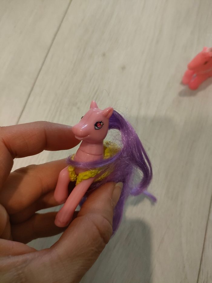 2 poneys - photo numéro 2