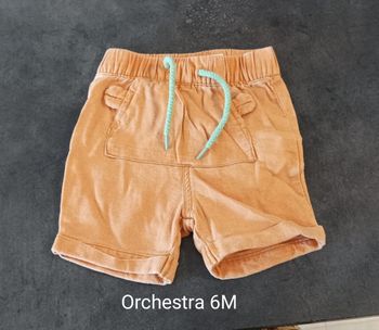 Short Orchestra 6M