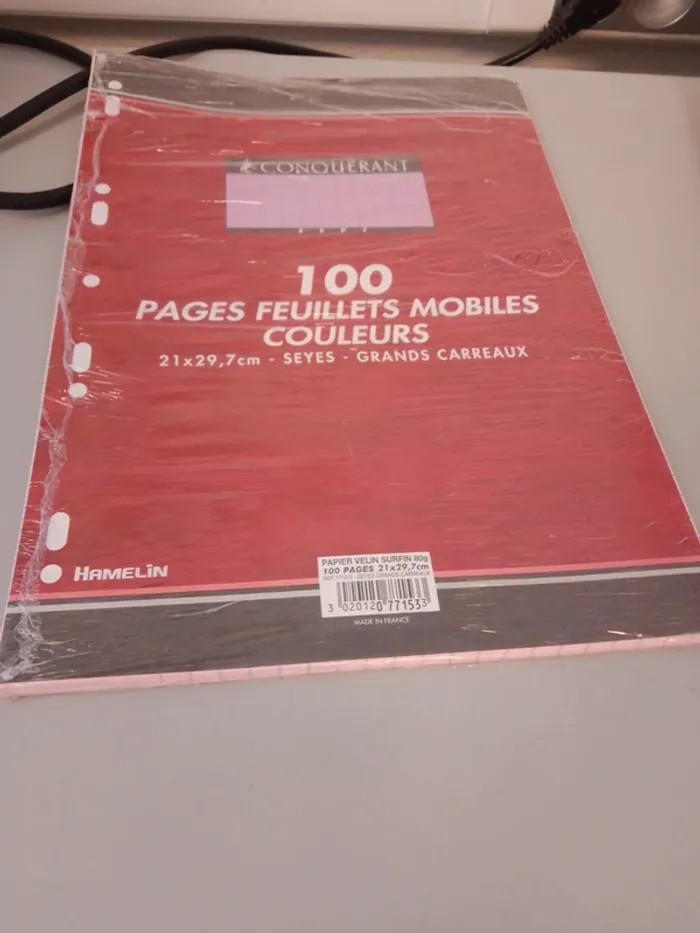 Feuilles de classeur - photo numéro 2