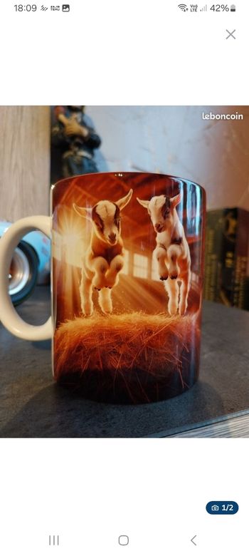 Mug biquettes