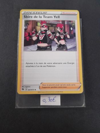 Carte Pokémon Sbire de la Team Yell 67/078
