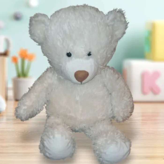 Ours en peluche