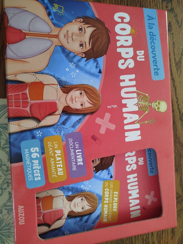 À la découverte du corps humain