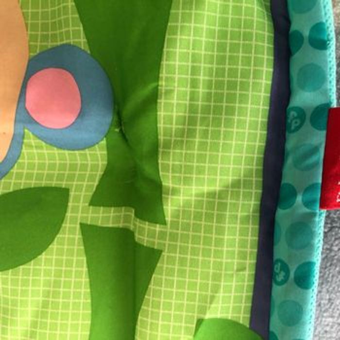 Tapis d’éveil Fisher price - photo numéro 10