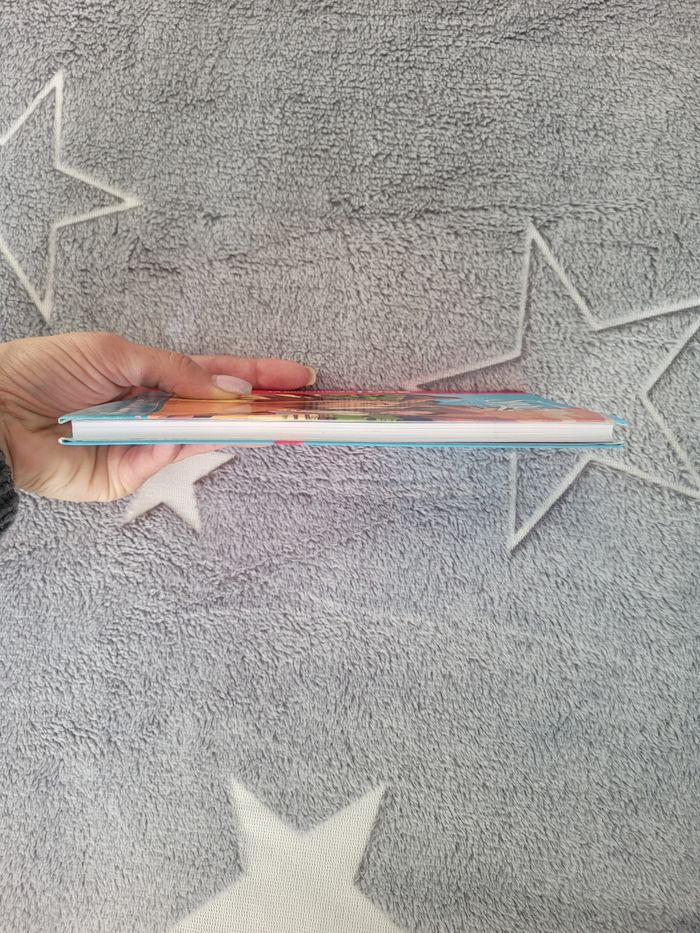 Spirit Le cheval sauvage - photo numéro 5