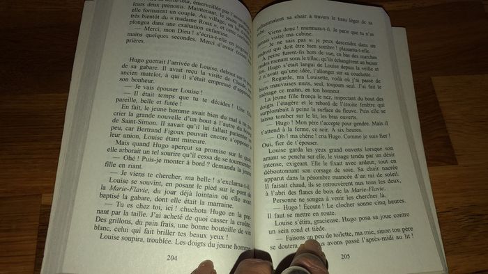 Magnifique roman Les Enfants Du Pas Du Loup - marie-bernadette dupuy - photo numéro 3