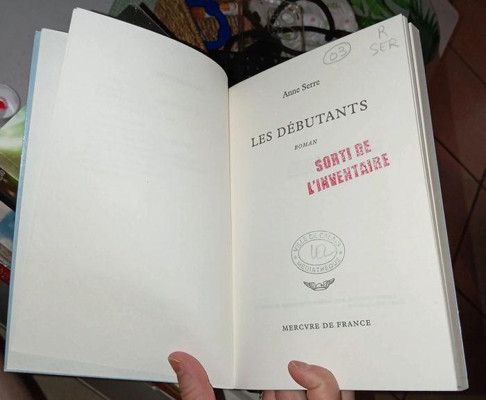 Roman d'amour ''Les débutants '' - photo numéro 5