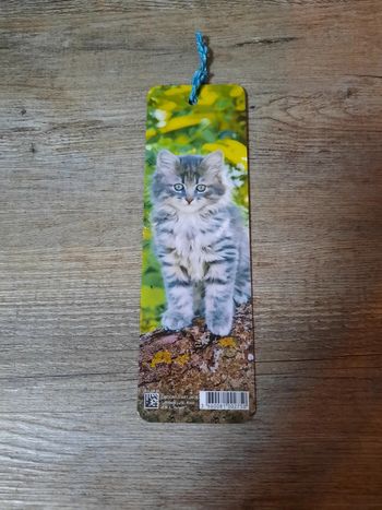 Marque page Chats - Éditions d'Art Jack.