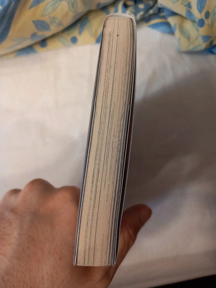Seven Deadly Sins Tome 1 - photo numéro 5