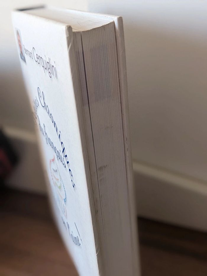 Petites chroniques du français comme on l'aime ! - photo numéro 5