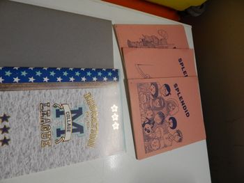 lot petits cahiers