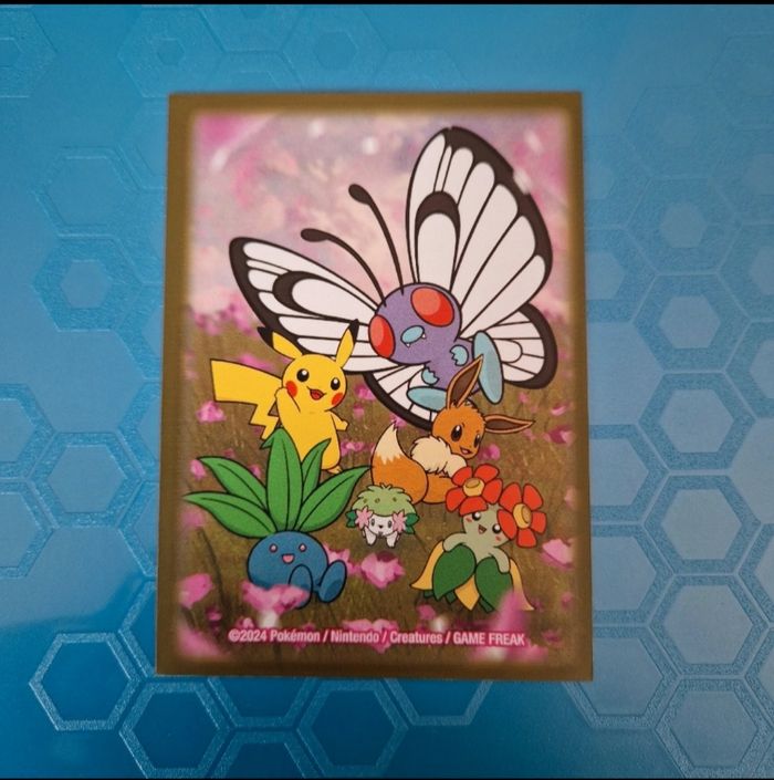 1 sleeve pokemon