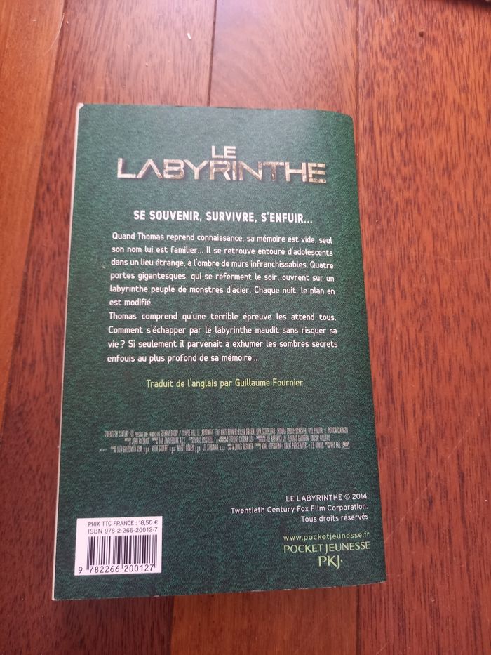 Le labyrinthe - photo numéro 2