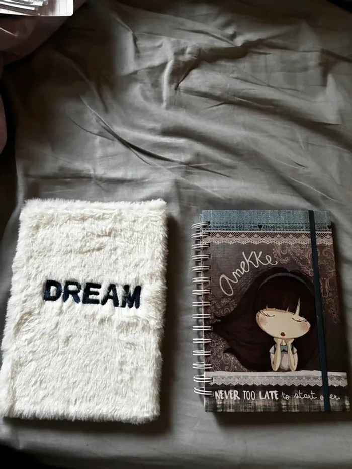 Lot de deux carnets