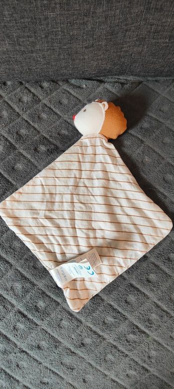 Hérisson rayé obaibi