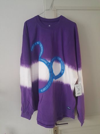 Pull Disneyland Paris femme 