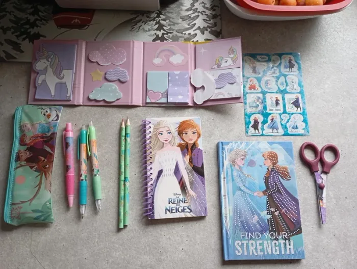 Lot papeterie reine des neiges
