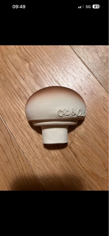 Champignon de dentition