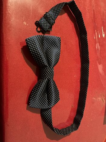 Noeud Papillon homme