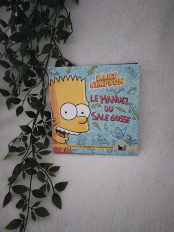 🍁Livraison a 1€ jusqu'à lundi 9h sur LBC - tigre16🍁🌸Livre Bart Simpson 🌸
